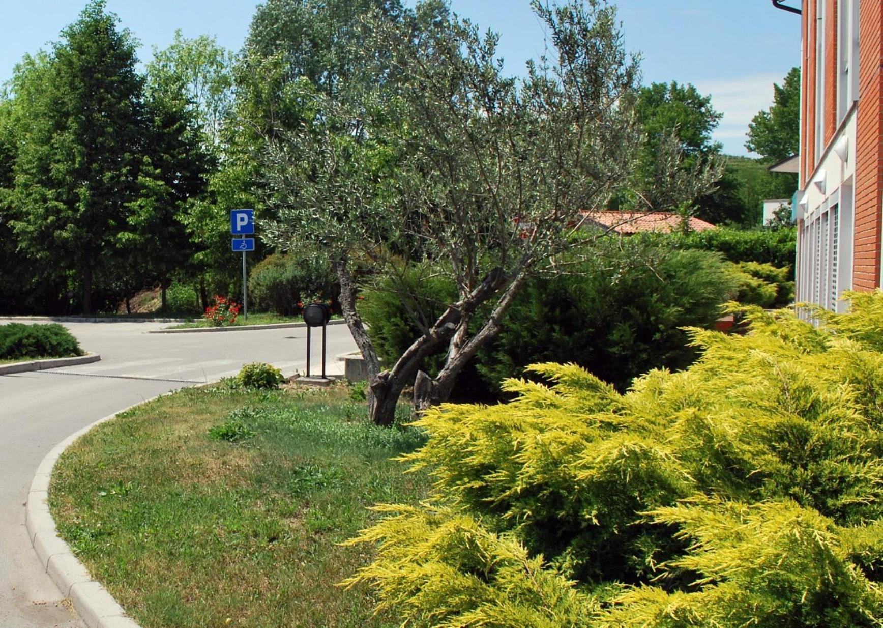 Bed And Breakfast Kogoj Νόβα Γκόριτσα Εξωτερικό φωτογραφία
